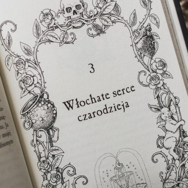 book, hobby, open, education, relaxation, reading, knowledge, read, passion, paper, literature, entertainment, pretty, fantastic, vacations, decorative, lying, library, harry, potter, tales, tales of the bard beedley, rowling, j, k, hairy, heart, wizard, hairy heart the wizard, the wizard, mag, library, wizard, wizard, wizard, wizard, wizard